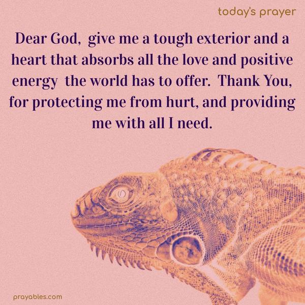 Dear God, give me a tough exterior and a heart that absorbs all the love and positive energy the world has to offer. Thank You, for protecting me from hurt, and providing me with all I need.