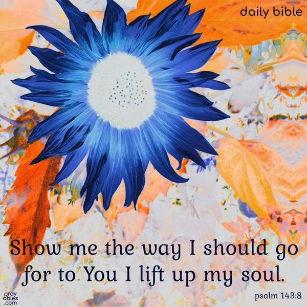 Show me the way I should go, for to You I lift up my soul. Psalm 143:8