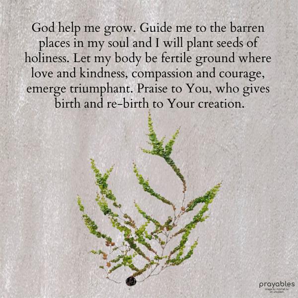 God help me grow. Guide me to the barren places in my soul, and I will plant seeds of holiness. Let my body be the fertile ground where love and kindness, compassion and
courage, emerge triumphant. Praise to You, who gives birth and re-birth to Your creation.