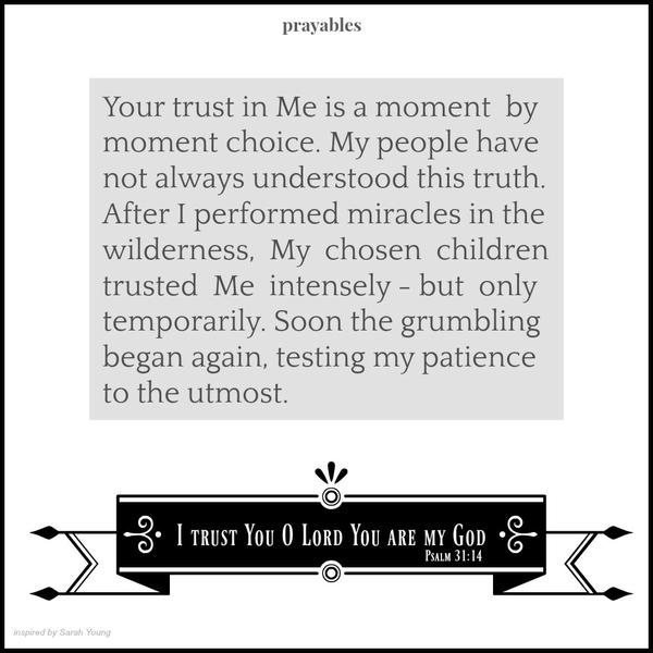 Psalm 31:14  I trust You O Lord You are my God Your trust in Me is a moment by moment choice. My people have not always understood this truth. After I performed miracles in the wilderness, My chosen children trusted Me intensely – but
only temporarily. Soon the grumbling began again, testing my patience to the utmost.