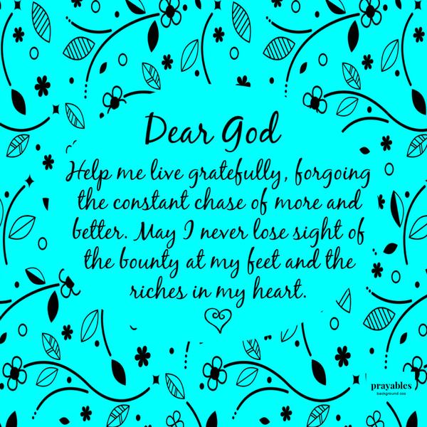 Help me live gratefully, forgoing the constant chase of more and better. May I never lose sight of the bounty at my feet and the
riches in my heart.