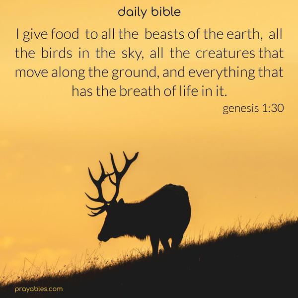 I give food to all the beasts of the earth, all the birds in the sky, all the creatures that move along the ground, and everything that has the breath of life in it. Genesis 1:30