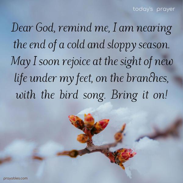 Dear God, remind me, I am nearing the end of a cold and sloppy season. May I soon rejoice at the sight of new life under my feet, on the branches, with the bird song. Bring it on!