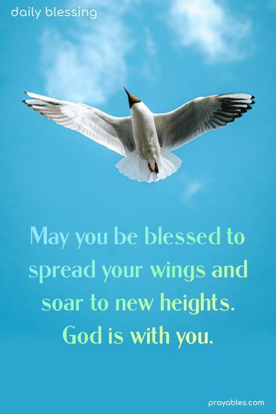 May you be blessed to spread your wings and soar to new heights.  God is with you.