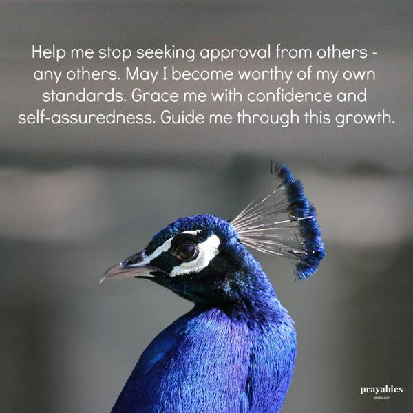 Guide Me Through Growth Help me stop seeking approval from others – any others. May I become worthy of my own standards. Grace me with confidence and self-assuredness. Guide
me through this growth.