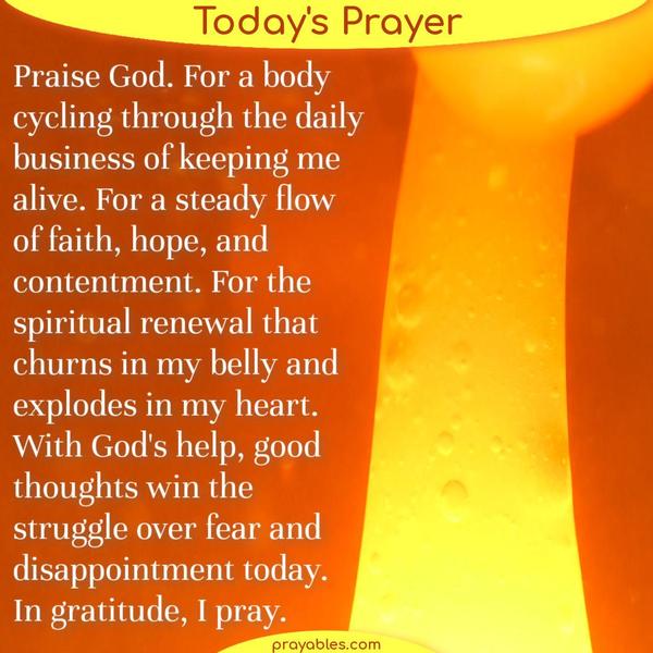 Praise God. For a body cycling through the daily business of keeping me alive. For a steady flow of faith, hope, and contentment. For the spiritual renewal that churns in my
belly and explodes in my heart. With God’s help, good thoughts win the struggle over fear and disappointment today. In gratitude, I pray.