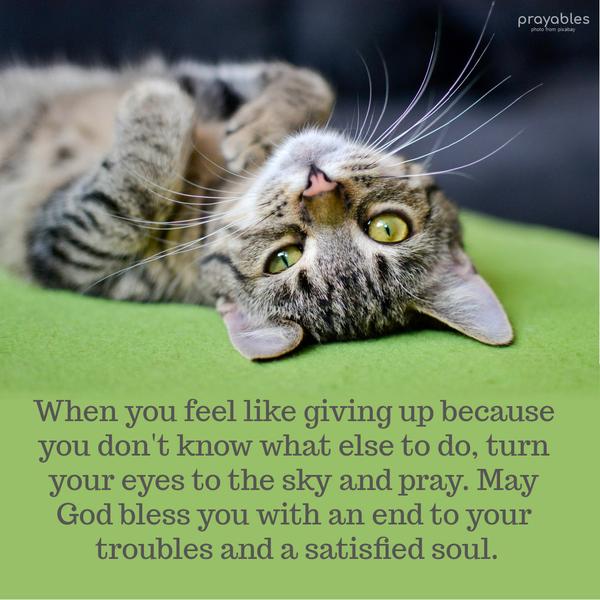 When you feel like giving up because you don’t know what else to do, turn your eyes to the sky and pray. May God bless you with an end to your troubles and a satisfied soul.