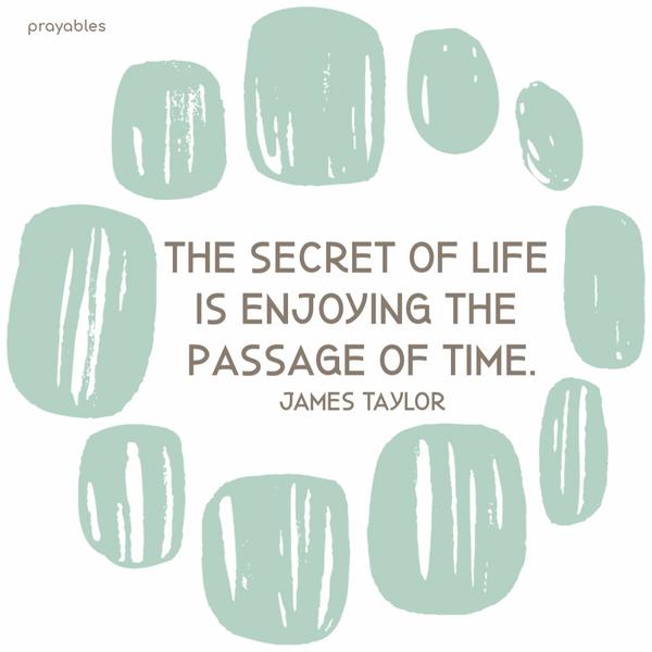 The secret of life is enjoying the passage of time. James Taylor