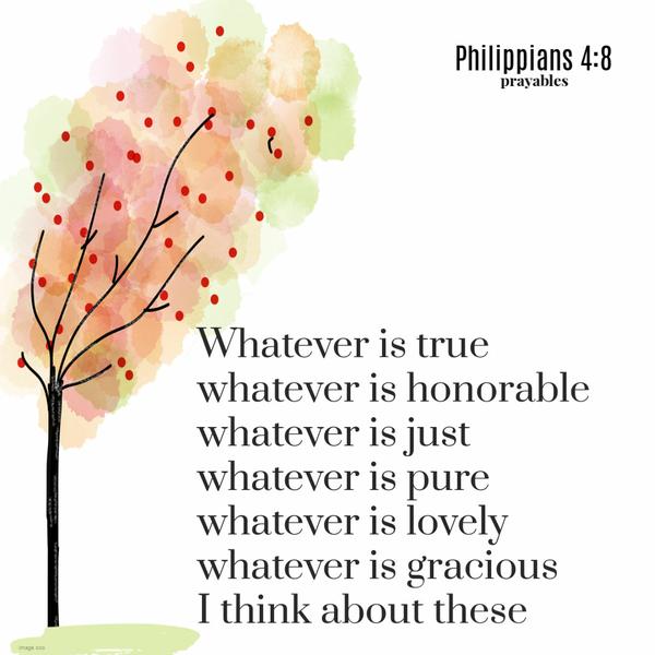 Philippians 4:8 Whatever is true, whatever is honorable, whatever is just, whatever is pure, whatever is lovely, whatever is gracious. I think about these.