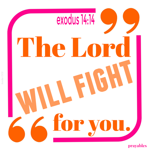 Exodus 14:14 The Lord will fight for you. “I will be still and let the Lord fight for me.”