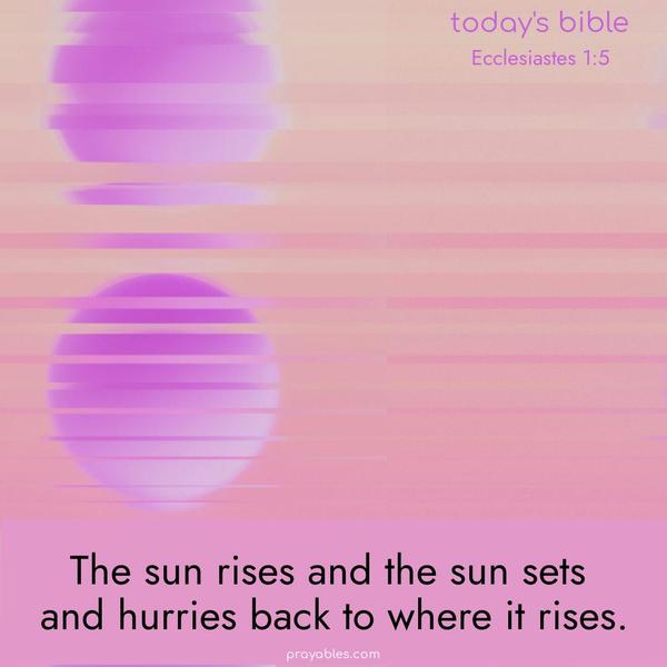 The sun rises and the sun sets and hurries back to where it rises. Ecclesiastes 1:5