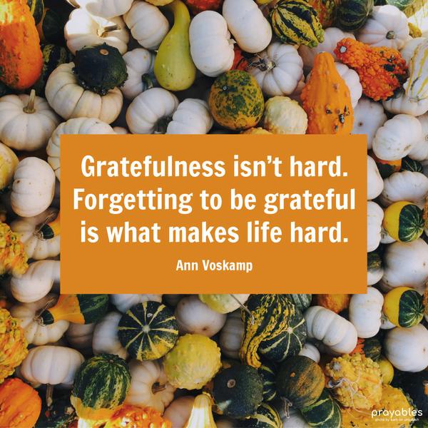 Gratefulness isn’t hard. Forgetting to be grateful is what makes life hard. Ann Voskamp