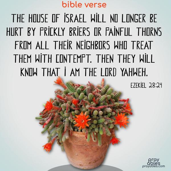 The house of Israel will no longer be hurt by prickly briers or painful thorns from all their neighbors who treat them with contempt. Then they will know that I am the Lord Yahweh. Ezekial 28:24