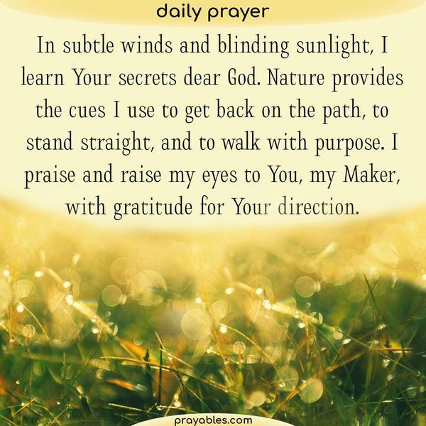 In subtle winds and blinding sunlight, I learn Your secrets dear God. Nature provides the cues I use to get back on the path, to stand
straight, and to walk with purpose. I praise and raise my eyes to You, my Maker, with gratitude for Your direction.