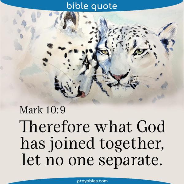 Mark 10:9 Therefore what God has joined together, let no one separate.