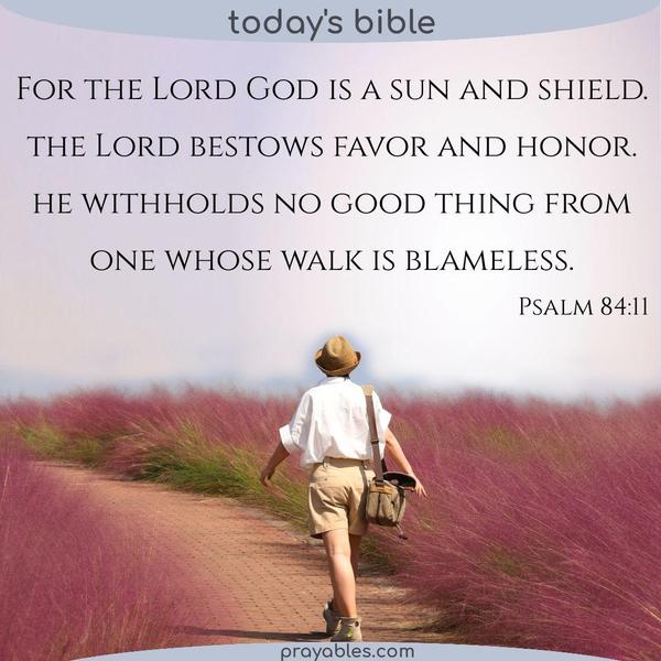 Psalm 84:11 For the Lord God is a sun and shield. The Lord bestows favor and honor. He withholds no good thing from one whose walk is
blameless.