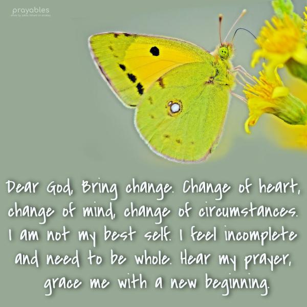 Dear God, Bring change. Change of heart, change of mind, change of circumstances. I am not my best self. I feel incomplete and need to whole. Hear my
prayer, grace me with a new beginning.