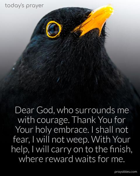 Dear God, who surrounds me with courage. Thank You for Your holy embrace. I shall not fear, I will not weep. With Your help, I will carry on to the finish, where reward waits for me.
