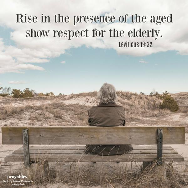 Leviticus 19:32 Rise in the presence of the aged, show respect for the elderly.