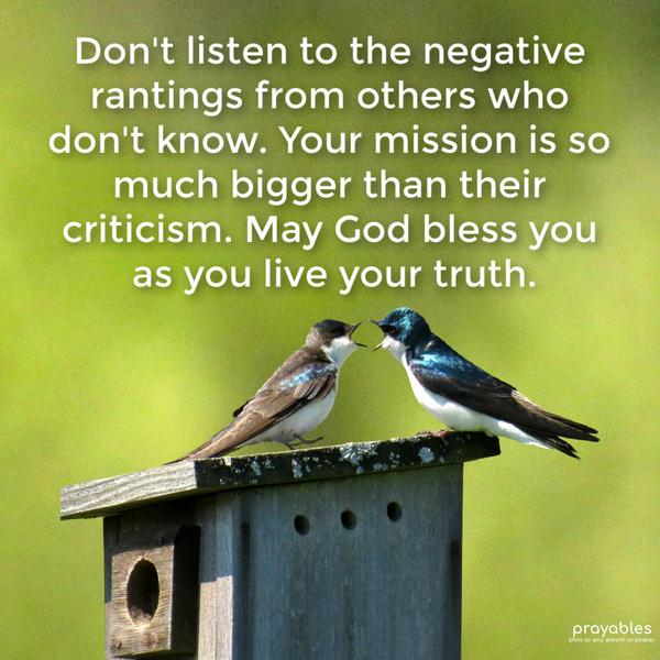 Don’t listen to the negative rantings from others who don’t know. Your mission is so much bigger than their criticism. May God bless you as you live your truth.