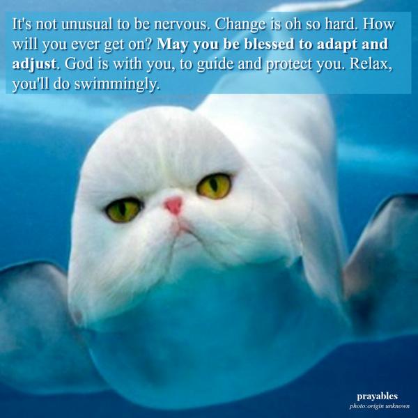 May you be blessed to adapt and adjust.