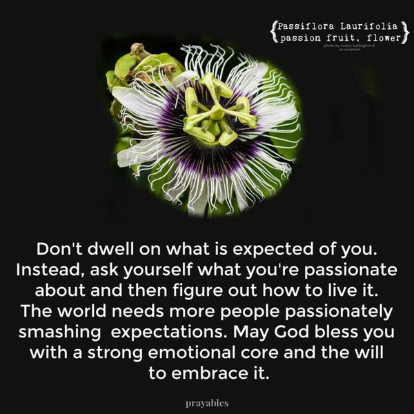 Don’t dwell on what is expected of you. Instead, ask yourself what you’re passionate about and then figure out how to live it. The world needs more people passionately
smashing expectations. May God bless you with a strong emotional core and the will to embrace it.