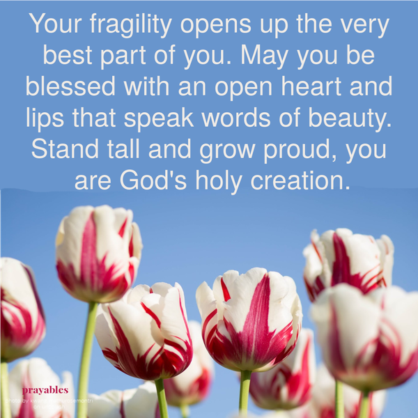 Your fragility opens up the very best part of you. May you be blessed with an open heart and lips that speak words of beauty. Stand tall and grow proud, you are God’s holy creation.