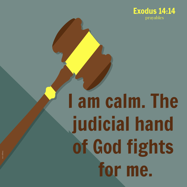 Exodus 14:14 I am calm. The judicial hand of God fights for me.