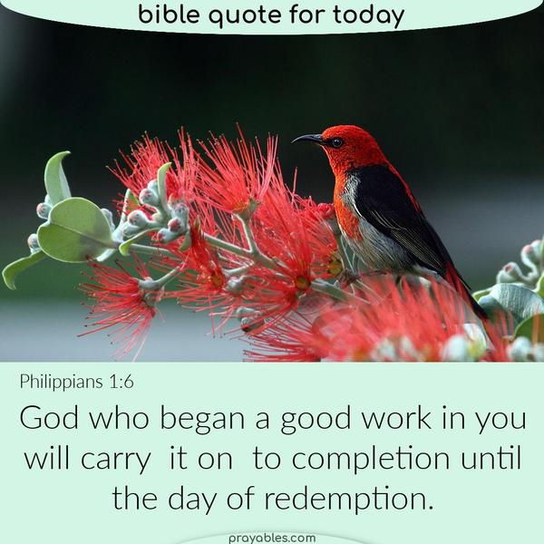 Philippians 1:6 God who began a good work in you will carry it on to completion until the day of redemption.