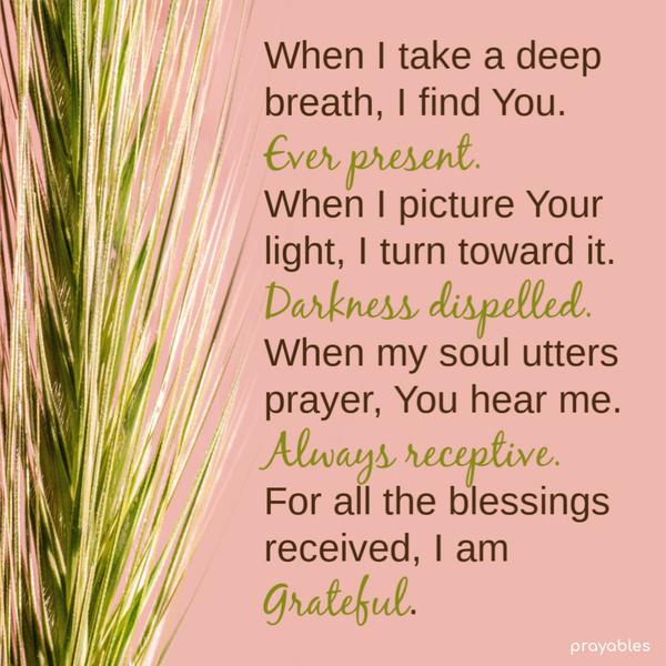 When I take a deep breath, I find You.  Ever present.  When I picture Your light, I turn toward it. Darkness dispelled. When my soul utters
prayer, You hear me.  Always receptive.  For all the blessings received, I am Grateful.