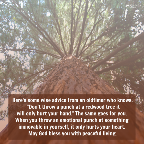 Here’s some wise advice an oldtimer might share with you; don’t throw a punch at a redwood tree it will only hurt your hand. The same goes for you. When you throw an emotional punch at something immovable in yourself, it only hurts your heart. May God bless you with peaceful living.