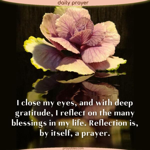 I close my eyes, and with deep gratitude, I reflect on the many blessings in my life. Reflection is, by itself, a prayer.