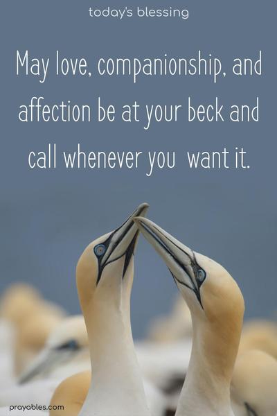 May love, companionship and affection be at your beck and call whenever you  want it.