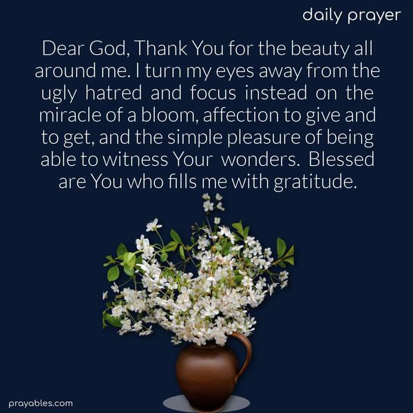 Dear God, Thank You for the beauty all around me. I turn my eyes away from the ugly hatred and focus instead on the miracle of a bloom, affection to give and to get, and the simple pleasure of being able to witness Your wonders. Blessed are You who fills me with gratitude.