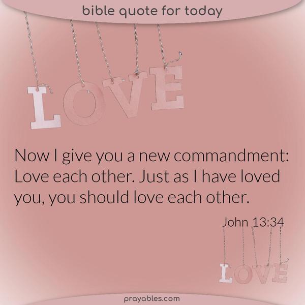 John 13:34 Now I give you a new commandment: Love each other. Just as I have loved you, you should love each other.