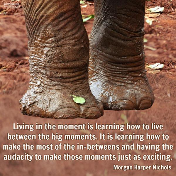 Living in the moment is learning how to live between the big moments. It is learning how to make the most of the in-betweens and having the audacity to make those moments just as exciting.
Morgan Harper Nichols