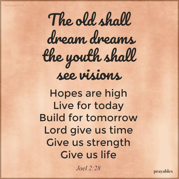 The old shall dream dreams and the youth shall have visions. Joel 2:28