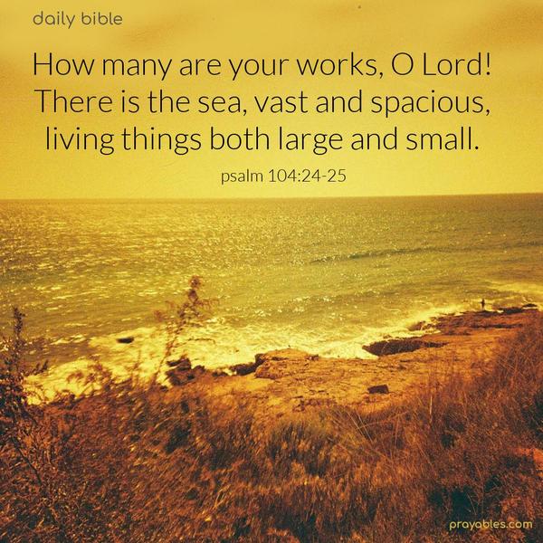 How many are your works, O Lord! There is the sea, vast and spacious, living things both large and small.