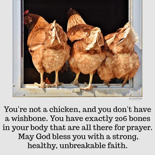 You’re not a chicken, and you don’t have a wishbone. You have exactly 206 bones in your body that are all there for prayer. May God bless you with a strong, healthy, unbreakable faith.