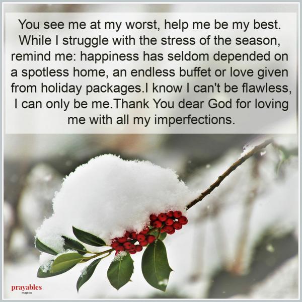 You see me at my worst, help me be my best. Struggling with the stress of the season, remind me: happiness has seldom depended on a spotless home, an endless buffet or love
given from holiday packages. I know I can’t be flawless, I can only be me. Thank You dear God for loving me with all my imperfections.