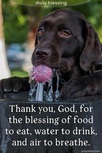 Thank you, God, for the blessing of food to eat, water to drink, and air to breathe.