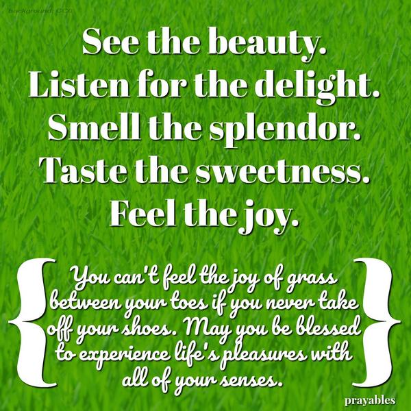 You can’t feel the joy of grass between your toes if you never take off your shoes. May you be blessed to experience life’s pleasures with all of your senses. See the beauty. Listen for the delight. Smell the splendor. Taste the
sweetness. Feel the joy.