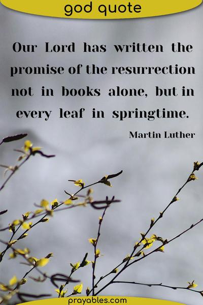 Our Lord has written the promise of the resurrection, not in books alone, but in every leaf in springtime. Martin Luther