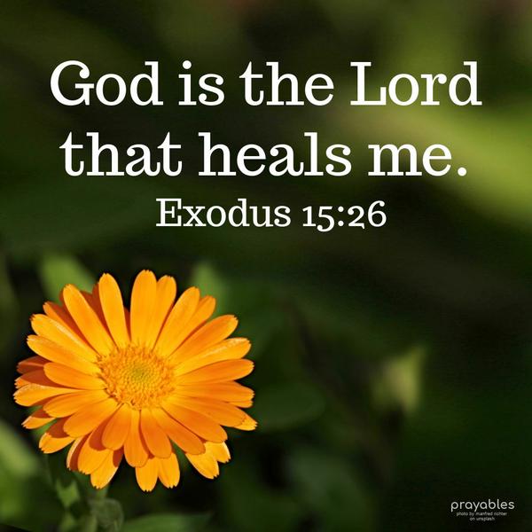 Exodus 15:26 God is the Lord that heals me.