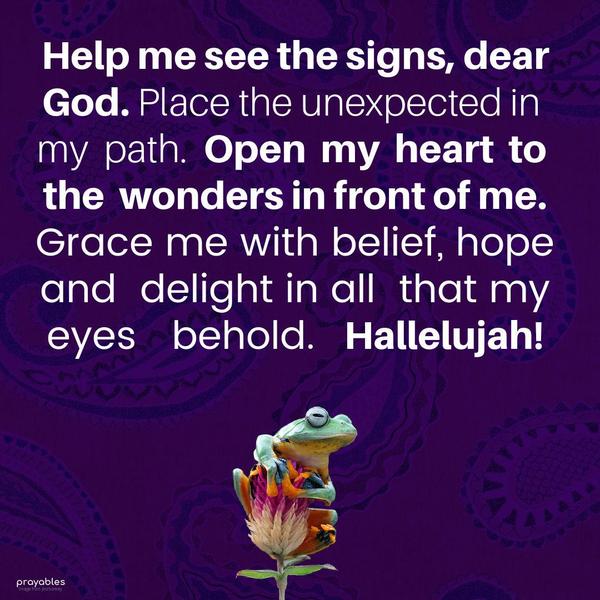 Help me see the signs, dear God. Place the unexpected in my  path.  Open  my  heart  to the  wonders in front of me. Grace me with belief, hope and 
delight in all  that my eyes   behold.    Hallelujah!