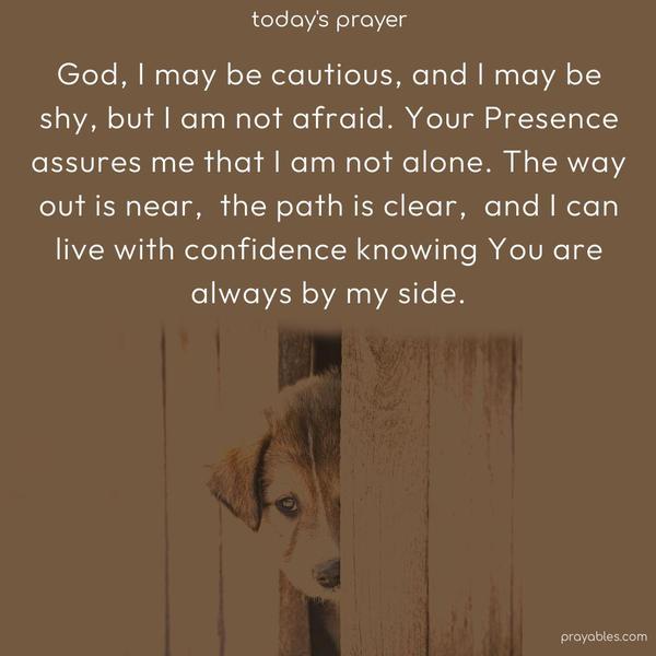 God, I may be cautious, and I may be shy, but I am not afraid. Your Presence assures me that I am not alone. The way out is near, the path is clear, and I can live with confidence knowing You are always by my side.