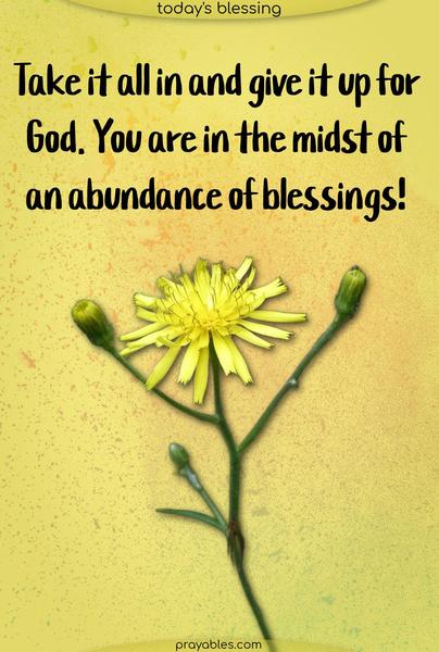 Take it all in and give it up for God. You are in the midst of an abundance of blessings! 