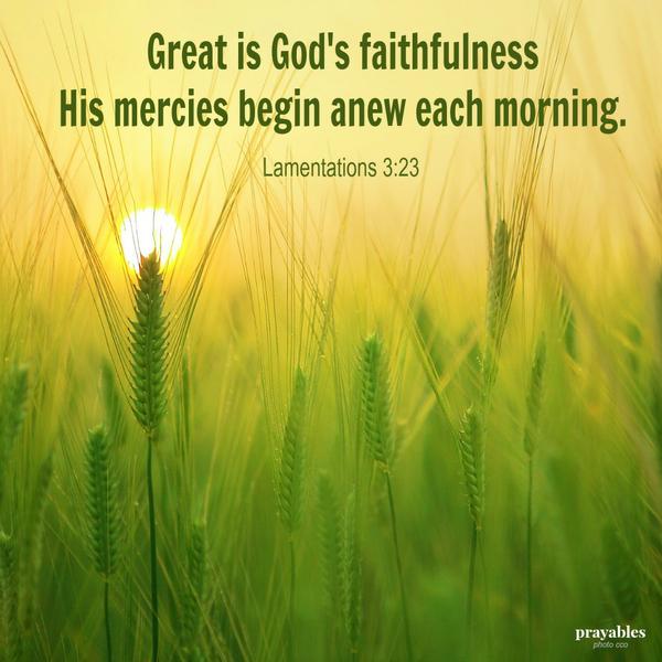 Lamentations 3:23 Great is God's faithfulness His mercies begin anew each morning.