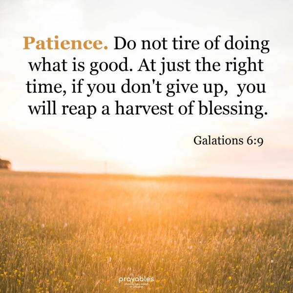 Galatians 6:9 Patience. Do not tire of doing what is good. At just the right time, if you don't give up,  you will reap a harvest of
blessing.