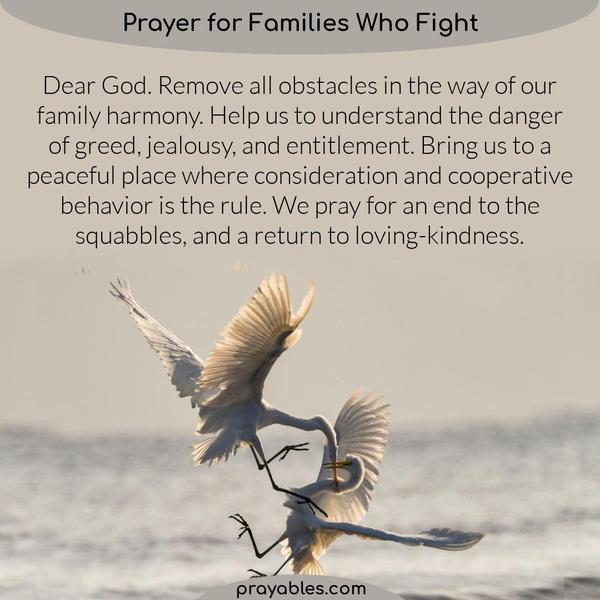 Dear God, Remove all obstacles in the way of our family harmony. Help us to understand the danger of greed, jealousy, and entitlement. Bring us to a peaceful place where
consideration and cooperative behavior is the rule. We pray for an end to the squabbles, and a return to loving-kindness.